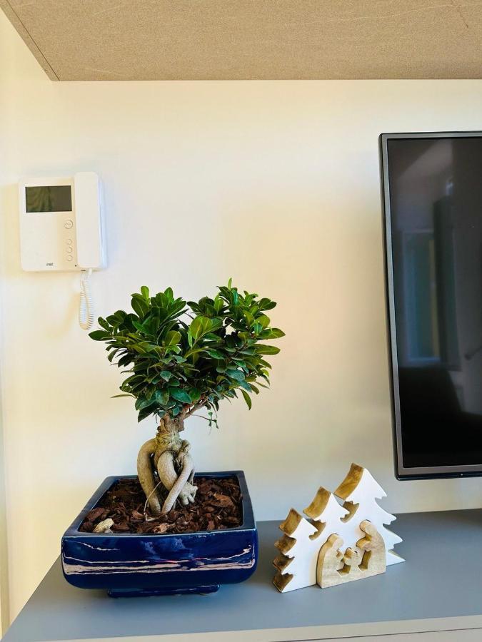 Alocasia Luxury Stay Salerno Luaran gambar